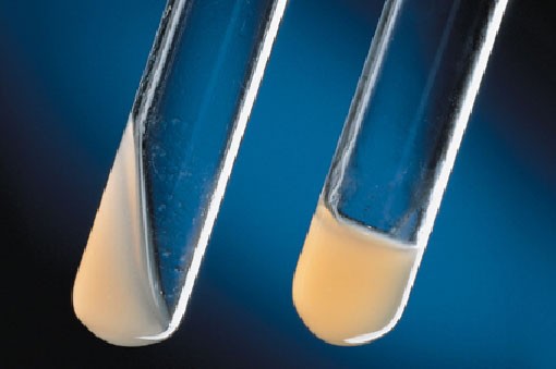 31c438182046d20f4c8afee41660e78d_jpg.jpg 31c438182046d20f4c8afee41660e78d_jpg.jpg